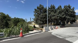 Peixitus, ànecs, granotes i ocells pescaires fan un comunicat conjunt: "Qui perd la seva identitat, perd l'ànima"