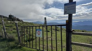 El bosc de Requesens mostra les seves estratègies davant el canvi climàtic