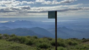El bosc de Requesens mostra les seves estratègies davant el canvi climàtic