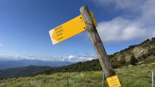 El bosc de Requesens mostra les seves estratègies davant el canvi climàtic