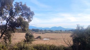 Estany gros de la Jonquera el passat 1 de gener