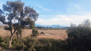 I si les precipitacions no han estat tan efectives com indiquen les dades?