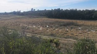 I si les precipitacions no han estat tan efectives com indiquen les dades?