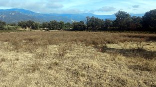 I si les precipitacions no han estat tan efectives com indiquen les dades?