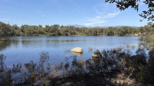 Alta afluència de visitants a la serra de l’Albera després de l’episodi de vent