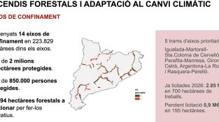 El Govern aposta per una nova estratègia de gestió forestal com a política estructural de país davant l'augment del risc d'incendis