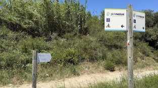 Tovalloletes i kleenex al costat de la ruta GR-11 i Pirinexus