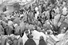 El MUME inaugura dissabte una exposició de 80 fotografies inèdites de la Retirada de 1939