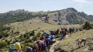 El CEJ es prepara per a la 75a travessa de la Jonquera a Portbou. Imatge d'arxiu.