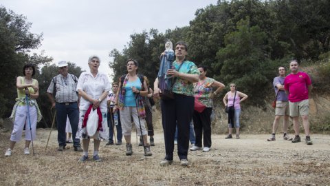 Sant Joan 2014 a Cantallops