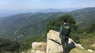 Revisió de mugues l'estiu de 2017