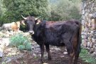 Mesures per evitar que la