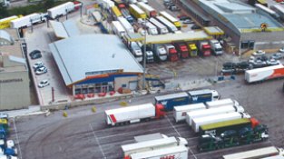 Oil Albera, dins el TOP 20 de l'Alt Empordà