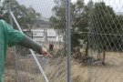 Uns lladres entren en un trull d'Agullana i roben 2.500 litres d'oli