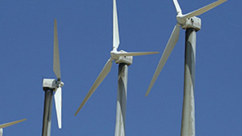 Albera Lliure de Molins desconfia dels criteris del nou decret de renovables