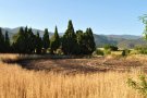 Cinc petits incendis simultanis cremen al camí de Cantallops a Capmany