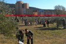Els alumnes de l'escola participen per segona vegada a la recollida d'olives al 