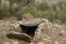 El ‘museu' de l'Albera va creixent 