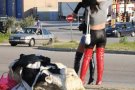 De festa? Al puti