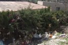 Nou focus de deixalles de la prostitució al costat de la piscina municipal