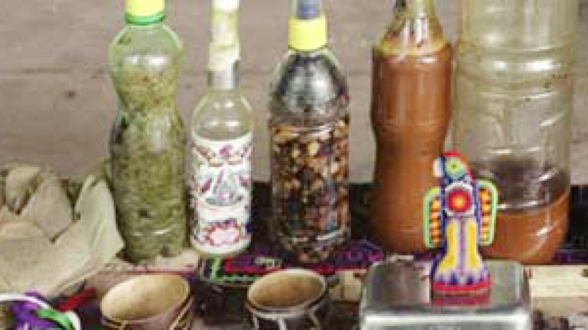 Preparats d'ayahuasca propis de les zones selvàtiques del continent americà