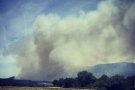 Els Bombers treballen en un incendi de vegetació a la Jonquera