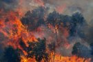 L'incendi de la Jonquera ja ha cremat 150 hectàrees i obliga a tallar la N-II i l'AP-7
