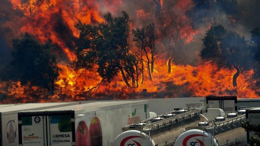 Les flames de l'incendi de la Jonquera, al costat d'un aparcament de camions