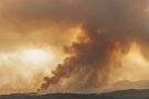 Troben centenars de burilles a l'origen de l'incendi de la Jonquera