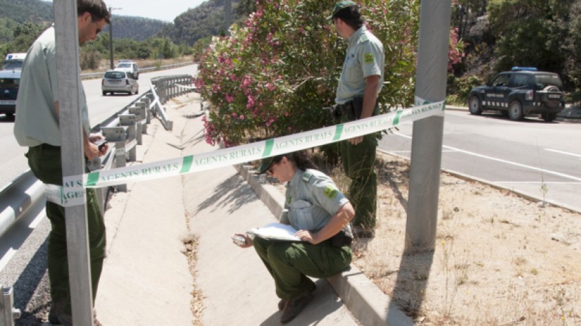 Agents rurals avui dimarts a la zona de l'aparcament del Porús on es va iniciar l'incendi