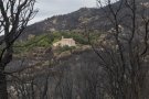 Extingit l'incendi forestal de la Jonquera