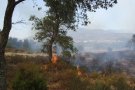 La tragèdia del foc