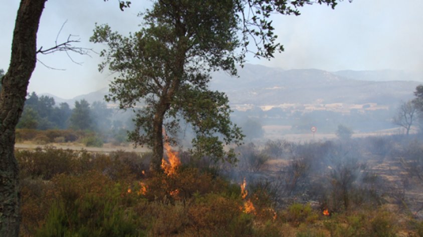 L'incendi s'estabilitzava el 23 de juliol a la zona de l'Estrada, a Agullana. Al fons la Jonquera i els seus polígons.