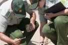 Els Mossos ja han extret el perfil genètic de 'ADN de la burilla del foc de la Jonquera