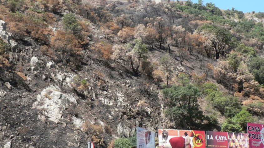 Rètols comercials a l'aparcament del Portús on va començar l'incendi