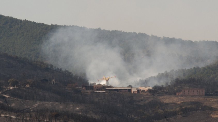Zona del Mas Pobre, a la muntanya de Sant Julià, afectada per l'incendi del 22 de juliol