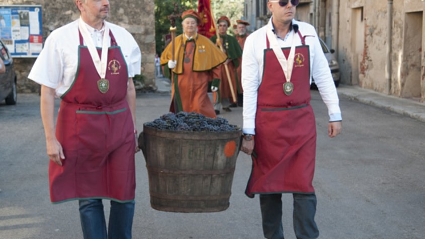 Membres de la Confraria de la Bóta de Sant Ferriol i de la Jove Confraria de Vins i Caves de l'Empordà porten el raïm a premsar