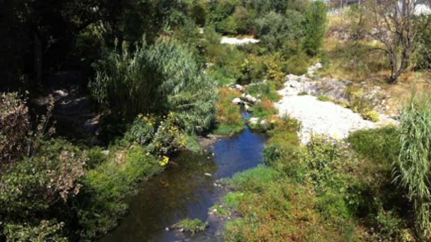 El Llobregat d'Empordà, a l'alçada de la depuradora de la Jonquera, compta només amb la poca aigua que hi aboca la depuradora