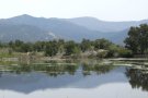 La Toscana o la Provença? L’Empordà