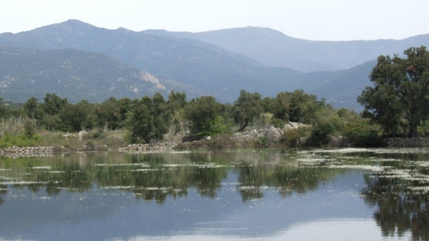 Estanys de la Jonquera, a cavall de la plana de l'Empordà i la serra de l'Albera