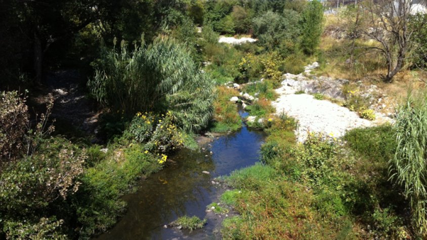 El Llobregat d'Empordà, a l'alçada de la depuradora de la Jonquera, aquest passat estiu