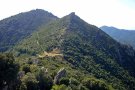 El CEJ portarà el 