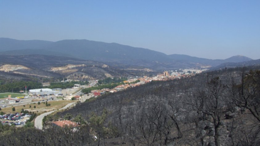 Zona de boscos de Canadal el juliol de 2012