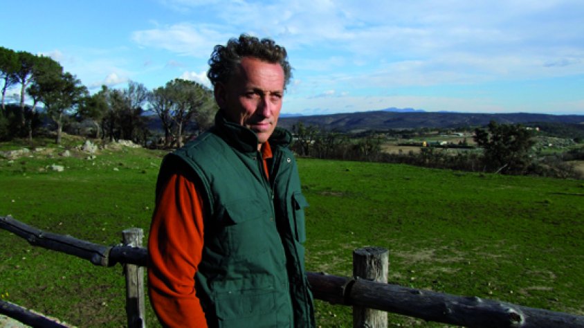 Joan Verdú