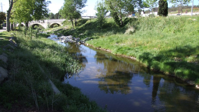 El Llobregat d'Empordà ahir al matí