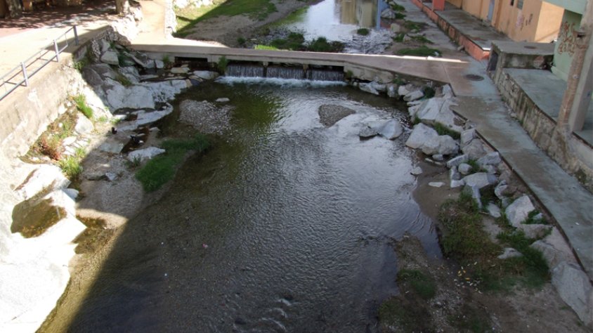 El riu Llobregat aquest matí 31 de maig
