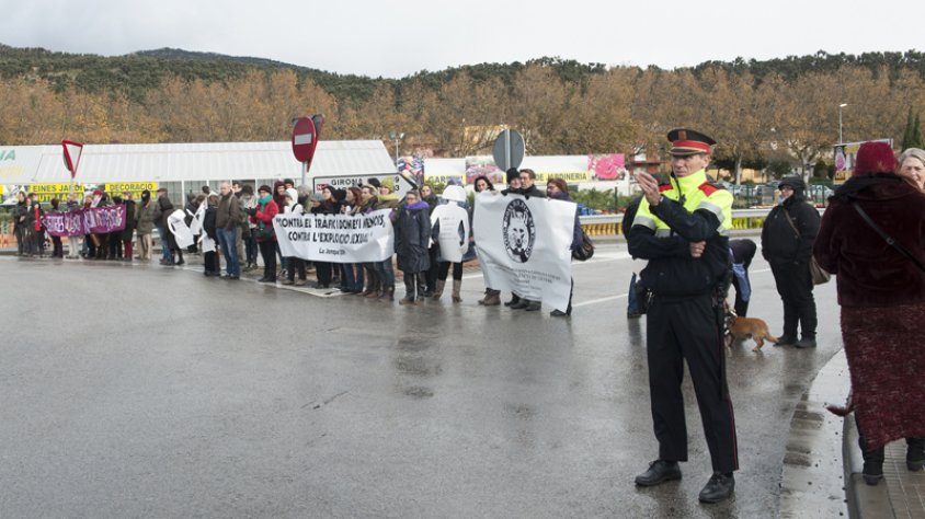 Una imatge de la manifestació a la Jonquera avui