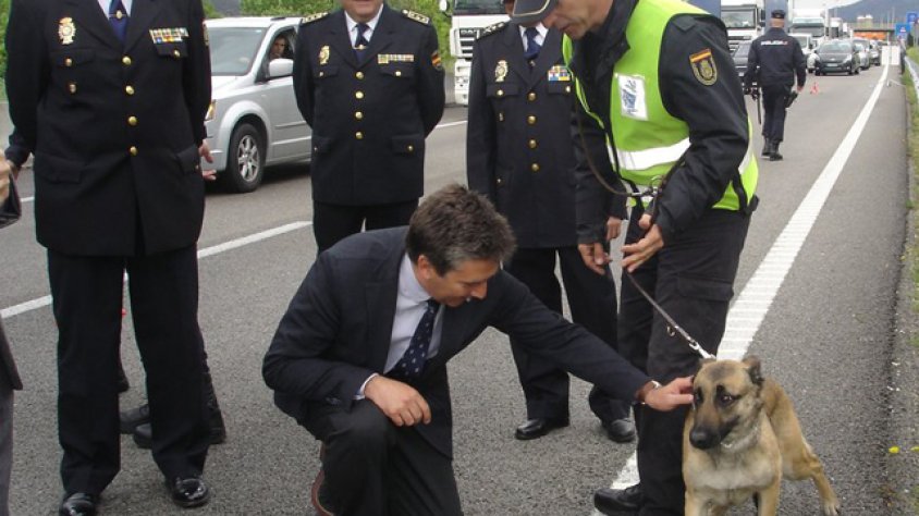 Ignacio Cosidó agenollat amanyaga un dels gossos que treballen amb la policia al controls que munten a diari arran de la frontera. Foto: TURA SOLER.