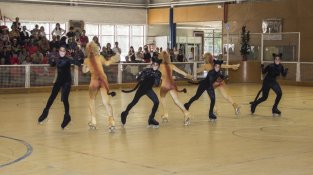 El pavelló poliesportiu es va omplir per veure l'espectacle dels clubs de patinatge de la comarca
