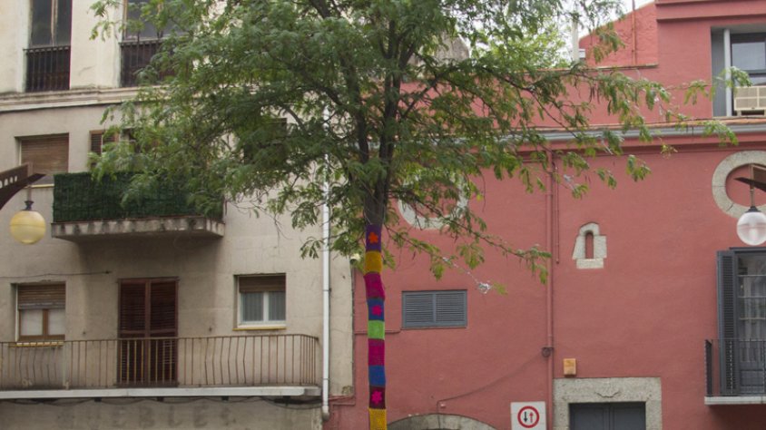 L'arbre de la Plaça de l'Ajuntament amb decoració "yarn bombing"